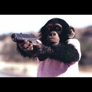 Meet your Posher, Christie